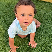 Koa is registered to the contest to win money with this photo: toddler, child, crawling, grass, outdoor, curious, face, blue_shirt, yellow_fence, green_lawn, baby, hands, feet, portrait, young_child, sunlight, expression, cheeks, skin, nature