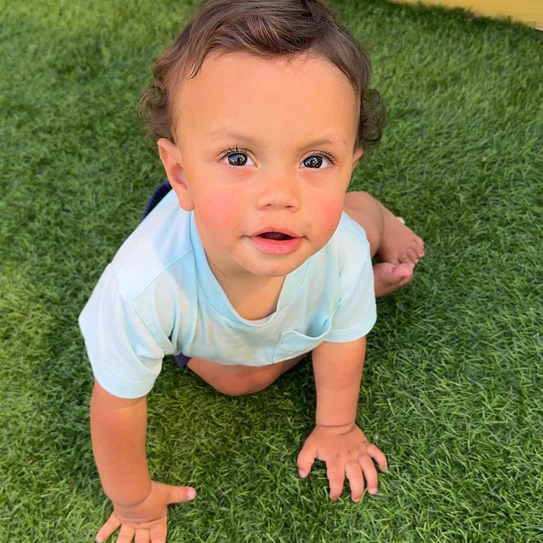 Koa is registered to the contest to win money with this photo: toddler, child, crawling, grass, outdoor, curious, face, blue_shirt, yellow_fence, green_lawn, baby, hands, feet, portrait, young_child, sunlight, expression, cheeks, skin, nature