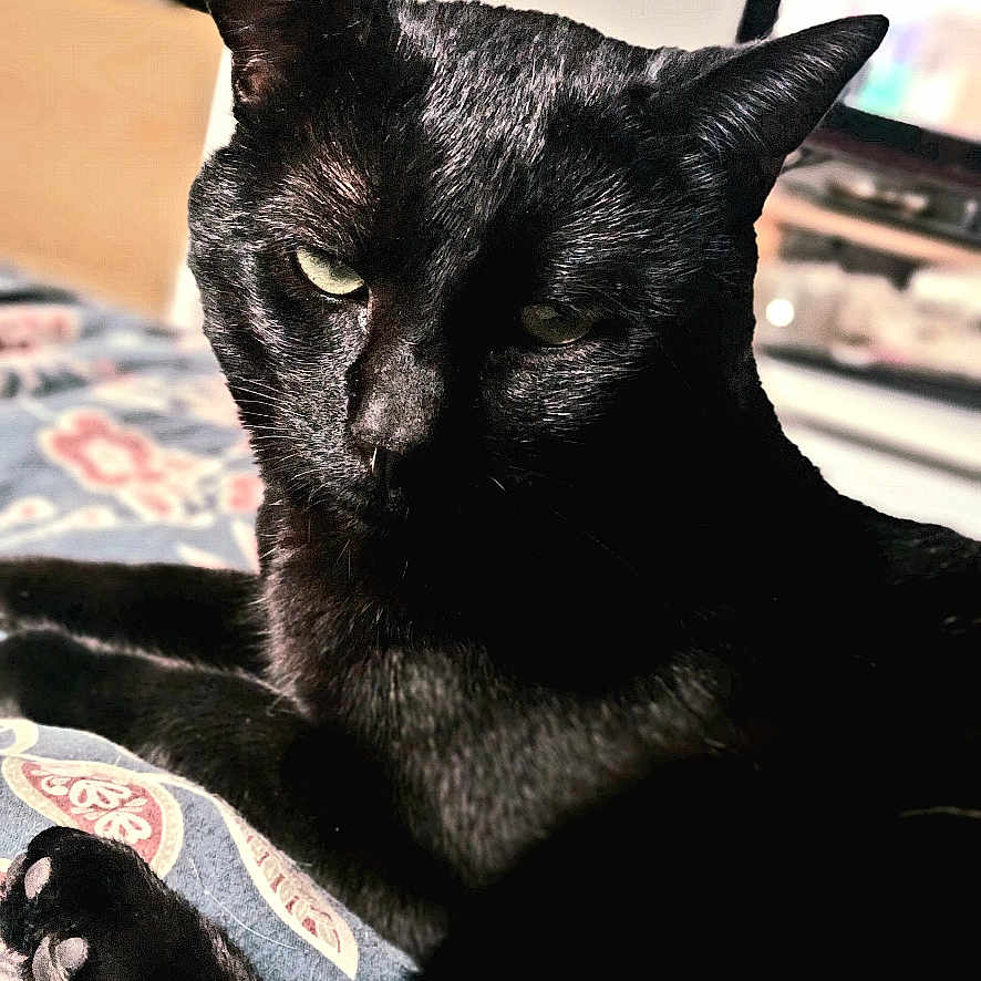 Kira