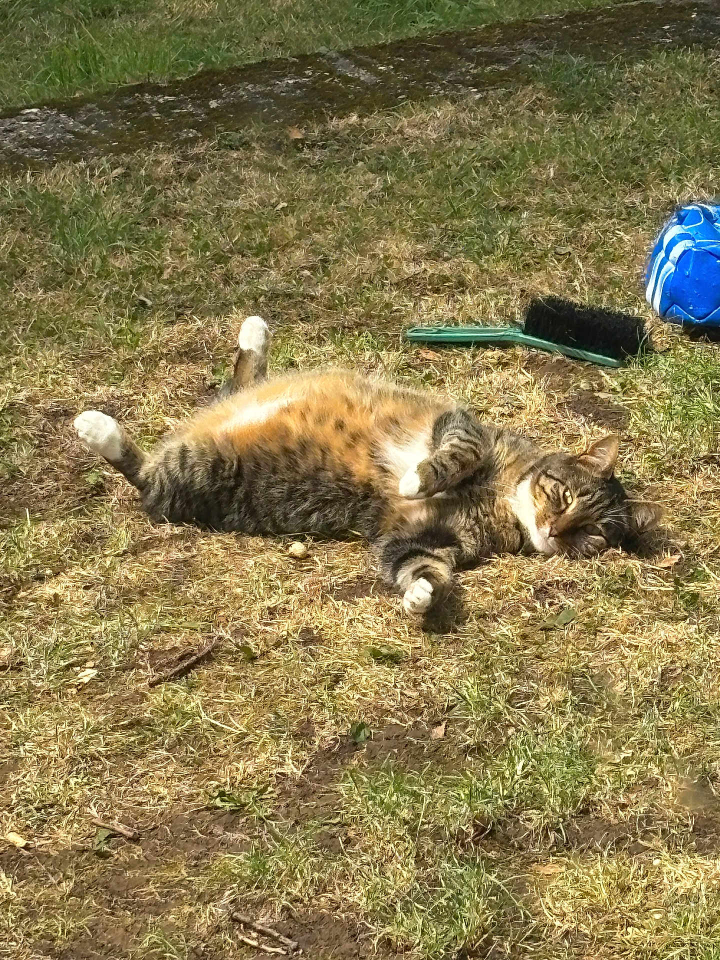 Fatty Pants