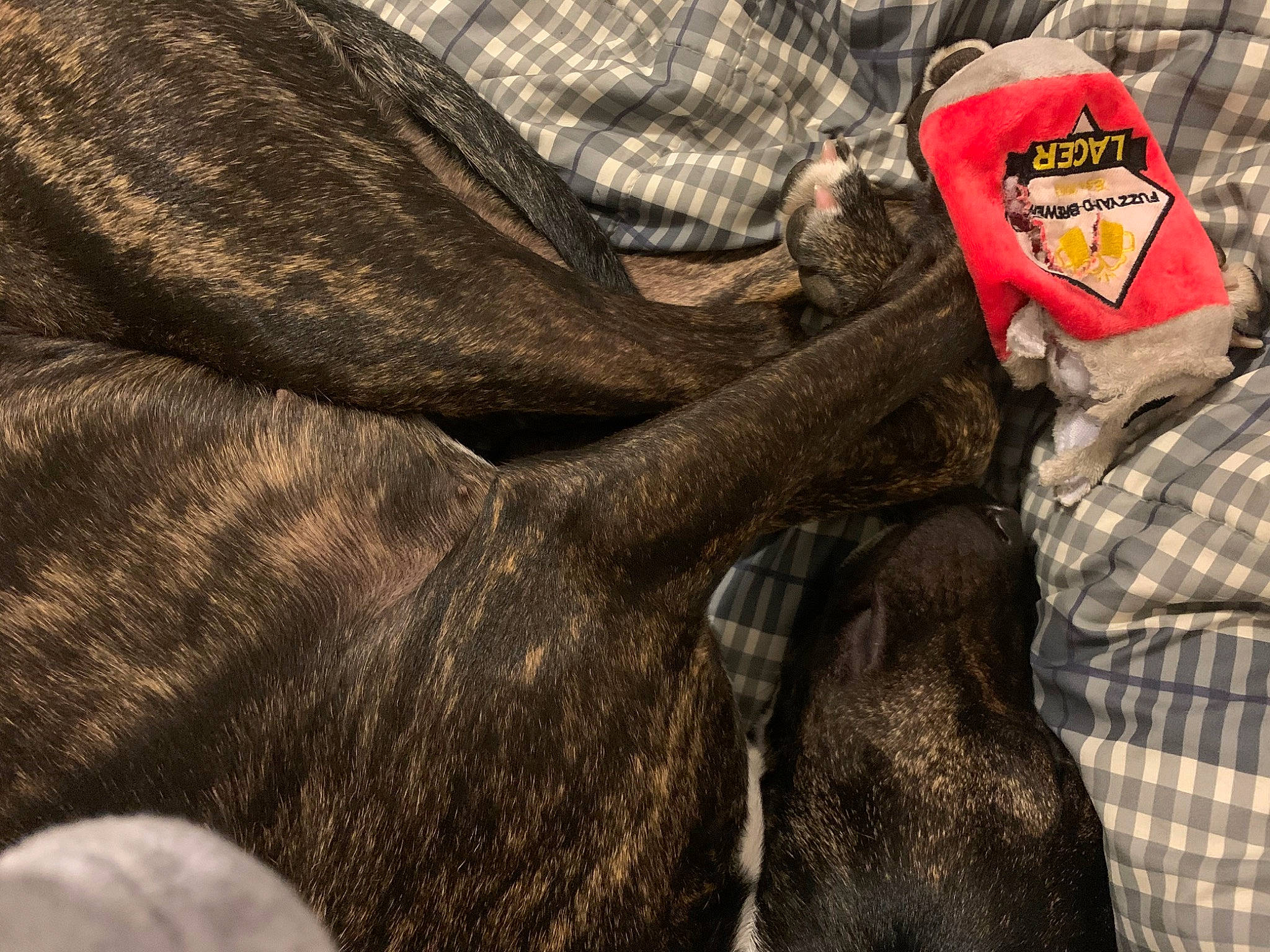 Jasmine is registered to the contest to win money with this photo: illustration, pattern, textile