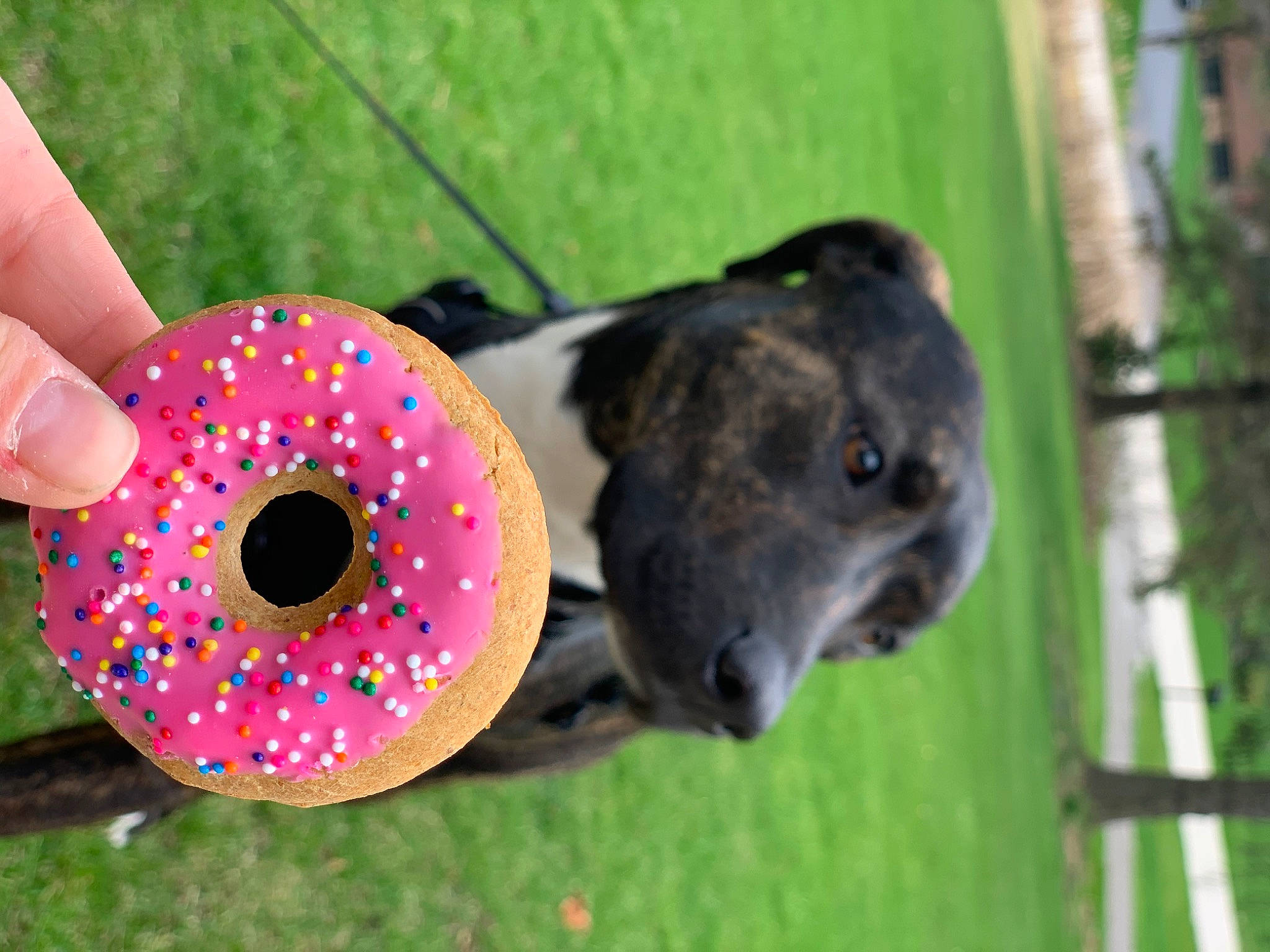 Jasmine joined the competition — help win amazing prizes! plant