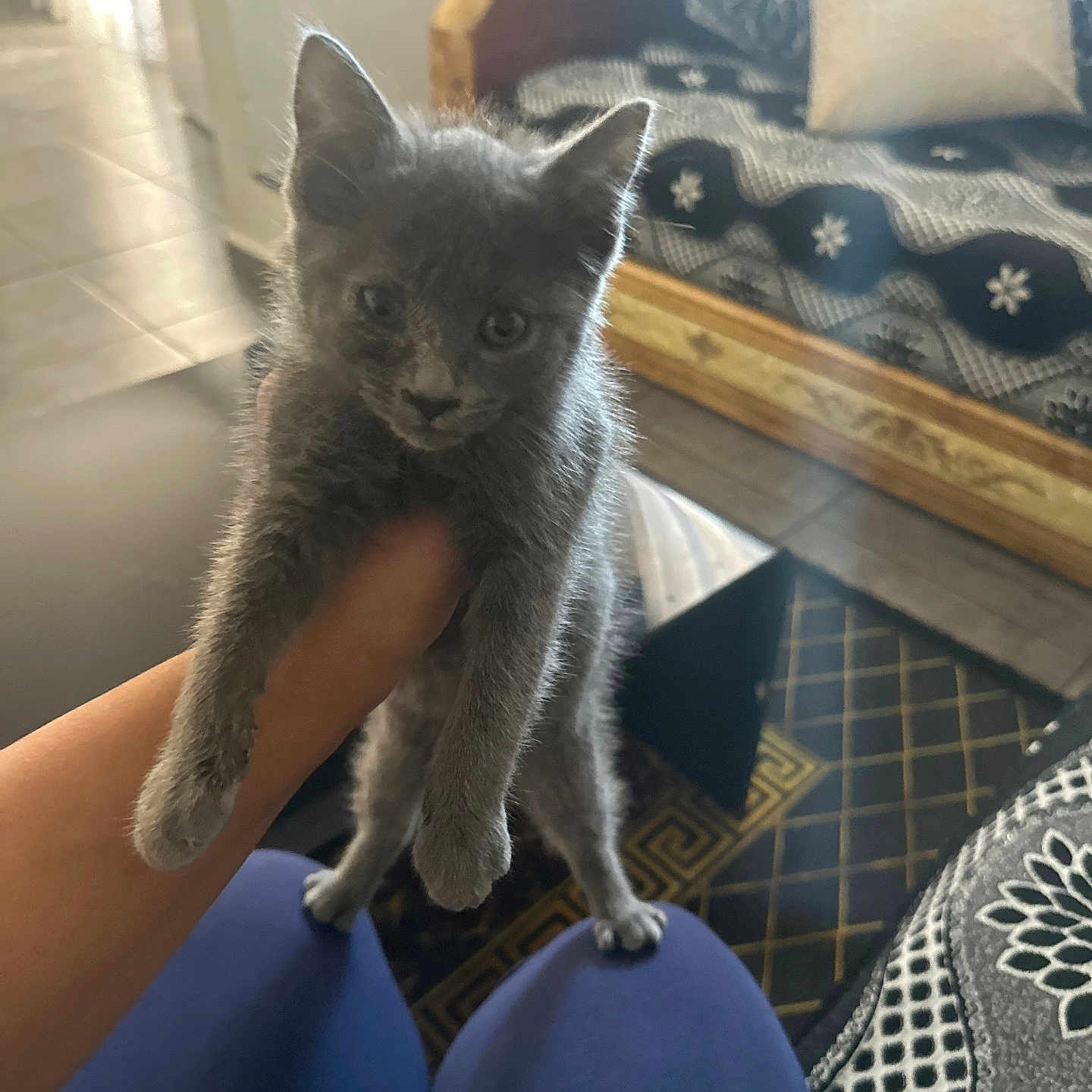 Mimi