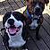 Buddy And Magnus