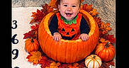 Maverick is registered to the contest to win money with this photo: baby, child, halloween, pumpkin, pumpkin_costume, autumn, fall_leaves, orange, smiling, happy, portrait, indoor, blanket, elephant, nursery, seasonal, costume, sitting, festive, photography
