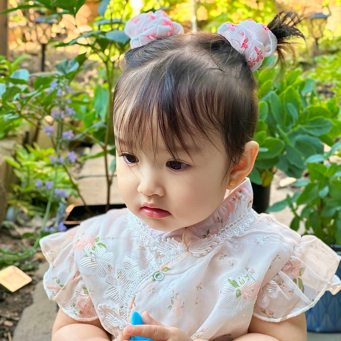 Saira is registered to the contest to win money with this photo: backyard, bodypart, child, clothing, dress, face, female, finger, girl, hand, head, herbal, herbs, nature, outdoors, person, photography, plant, portrait, pottedplant