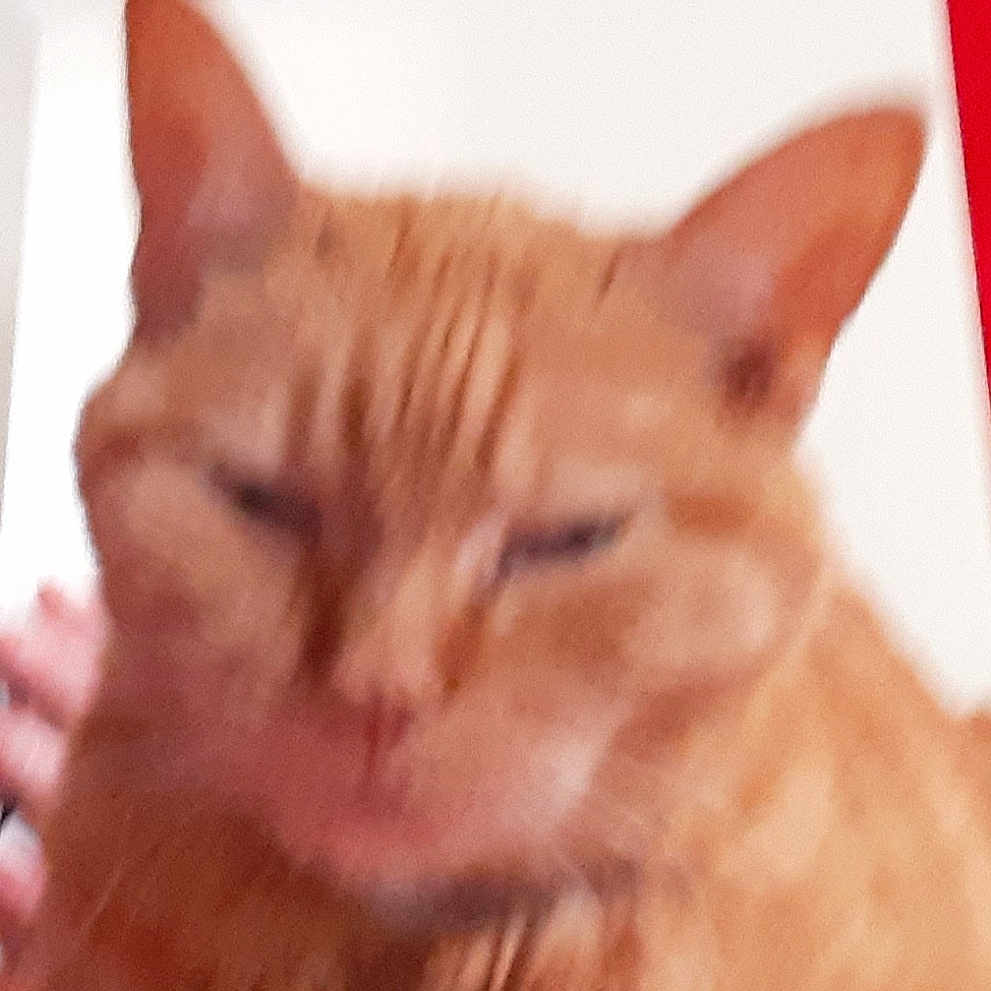 Lilou