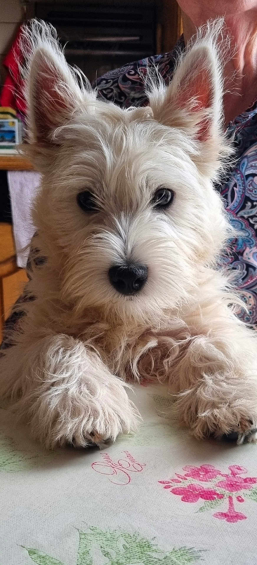 Max