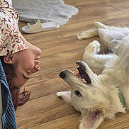 Gaïa a rejoint le concours — aidez-le/la à gagner de superbes lots ! person, dog, white_dog, wooden_floor, indoor, smiling, lying_down, playful, happy, pet, fur, collar, home, cozy, carpet, slipper, casual_clothing, relaxed, closeup, interaction