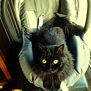 Grudgy a rejoint le concours — aidez-le/la à gagner de superbes lots !