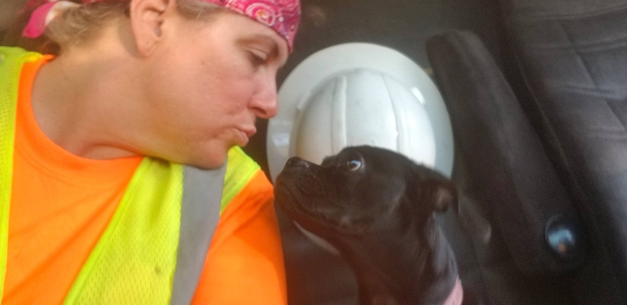 Madi joined the competition — help win amazing prizes! dog_like_mammal, ear, mammal, mouth, person, snout, vertebrate