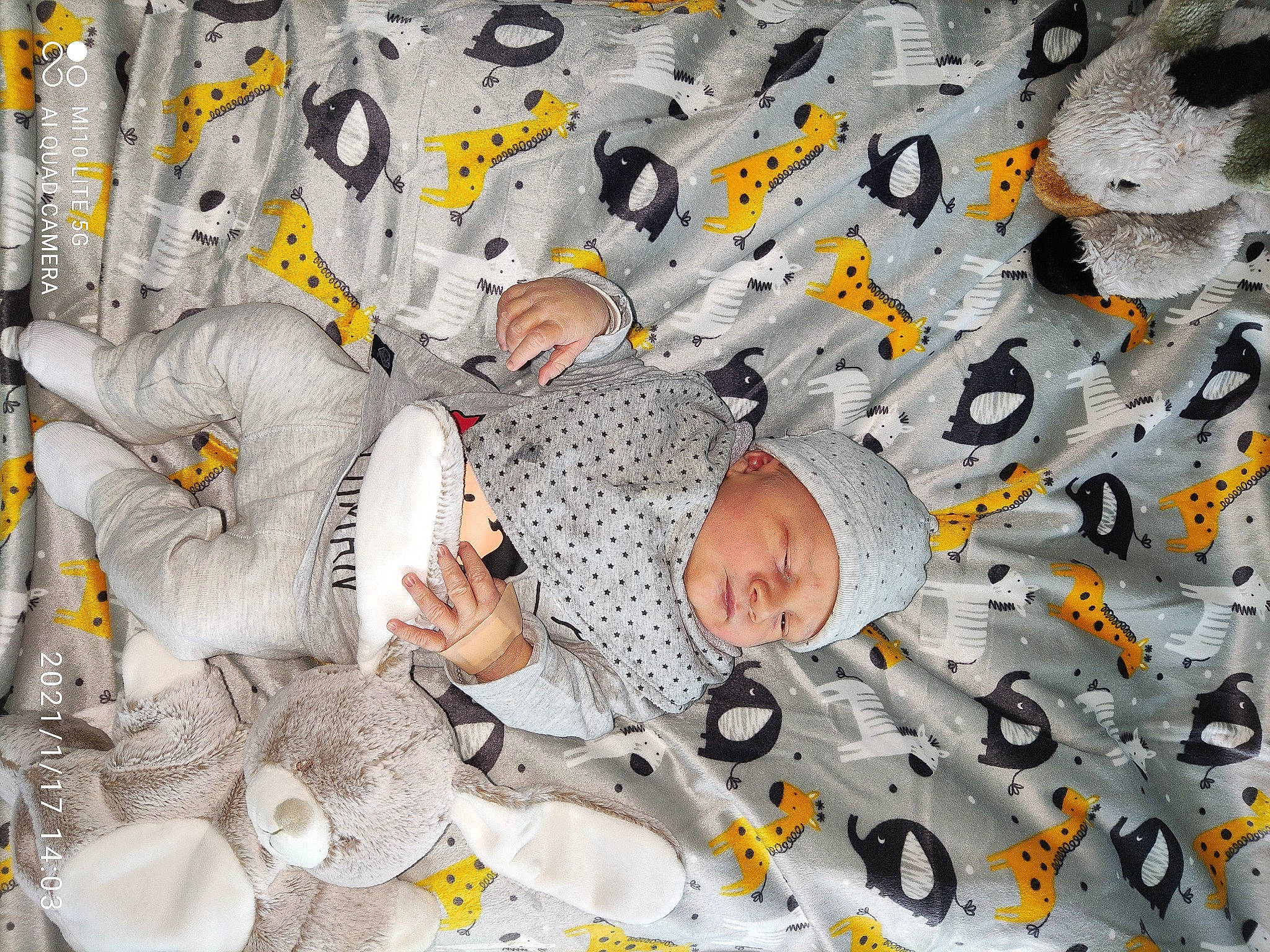 Mayson participe au concours pour gagner de l'argent avec cette photo : art, ceiling, climbing_hold, fish, font, grey, headwear, linens, metal, organism, pattern, person, photomontage, recreation, room, space, textile, toddler, wall, white