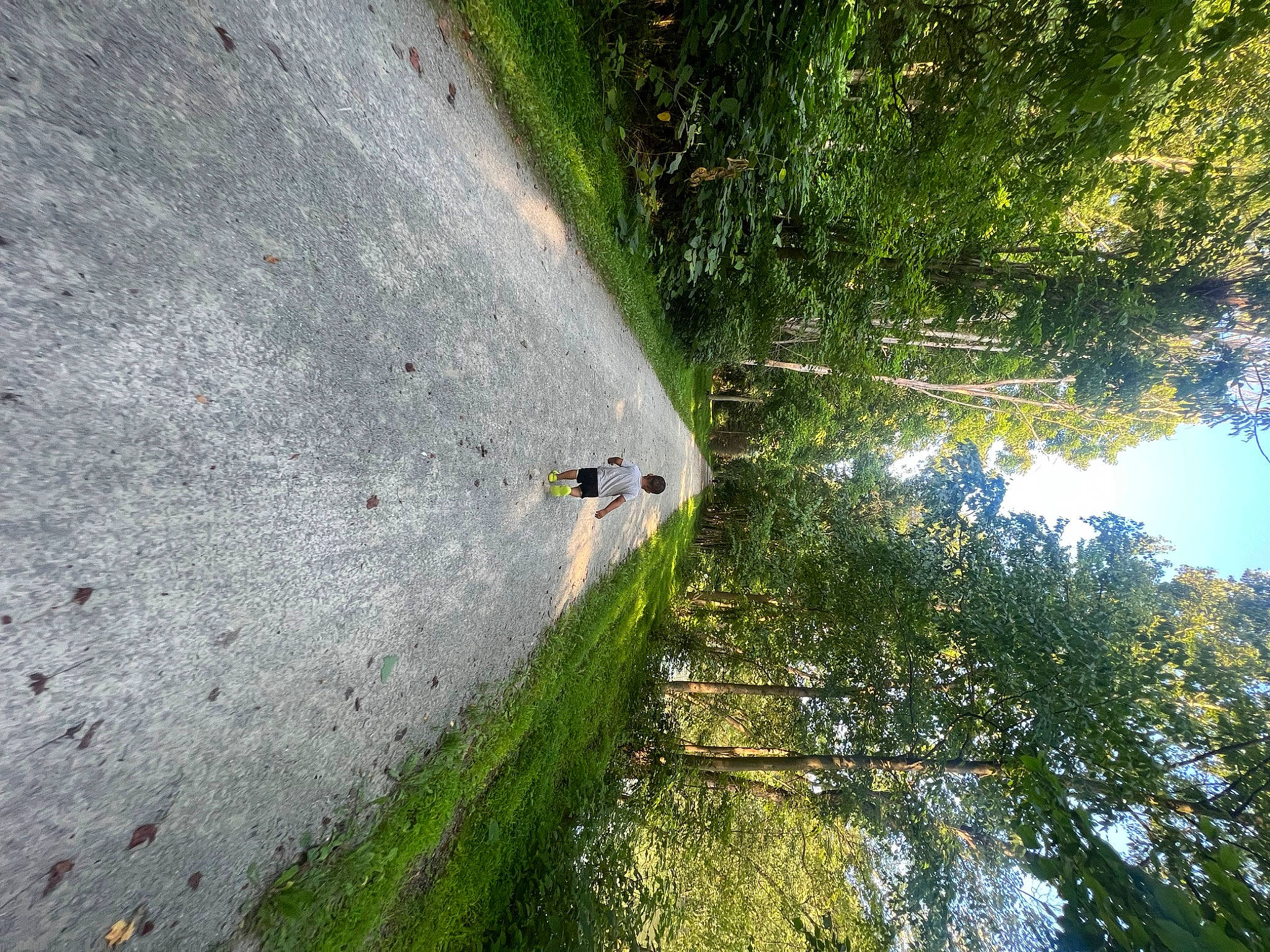 Lorenzo is registered to the contest to win money with this photo: asphalt, bank, ecoregion, grass, landscape, natural_landscape, person, plant, reflection, road, road_surface, shadow, shrub, sky, slope, tints_and_shades, tree, trunk, water, watercourse