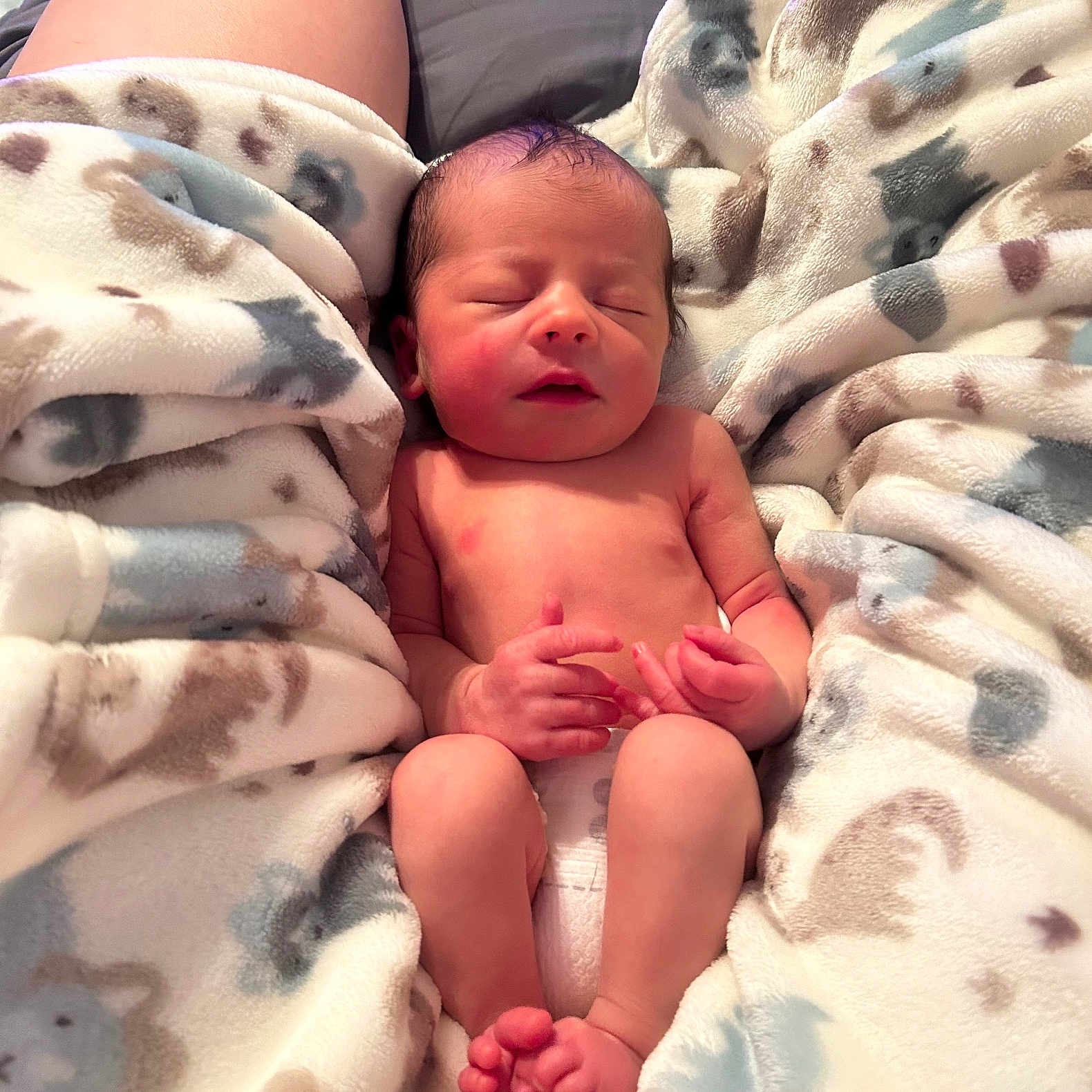 Ellios joined the competition — help win amazing prizes! animal, baby, bed, bedroom, blanket, canine, childbirth, dog, face, furniture, head, indoors, newborn, person, pet, photography, portrait, quilt, room, sleeping