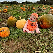 Rome joined the competition — help win amazing prizes! baby, pumpkin_costume, pumpkin_patch, pumpkin, grass, field, mud, outdoor, child, costume, nature, autumn, fall, cute, smile, sitting, greenery, vegetation, hat, seasonal