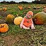 baby, pumpkin_costume, pumpkin_patch, pumpkin, grass, field, mud, outdoor, child, costume, nature, autumn, fall, cute, smile, sitting, greenery, vegetation, hat, seasonal