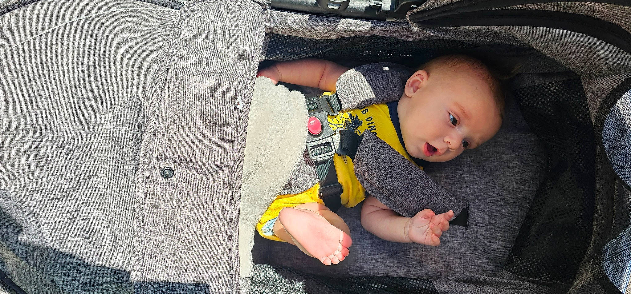 Ace joined the competition — help win amazing prizes! baby, baby_carriage, baby_products, baby_toddler_clothing, child, comfort, concrete, fun, lap, pattern, person, sitting, sock, surprise, toddler, tree, vacation