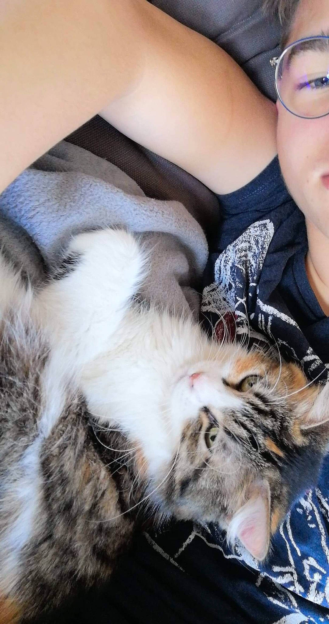 Soyeuse participe au concours pour gagner de l'argent avec cette photo : active_tank, carnivore, cat, comfort, domestic_short_haired_cat, facial_expression, felidae, fur, mammal, nap, selfie, small_to_medium_sized_cats, snout, vertebrate, whiskers