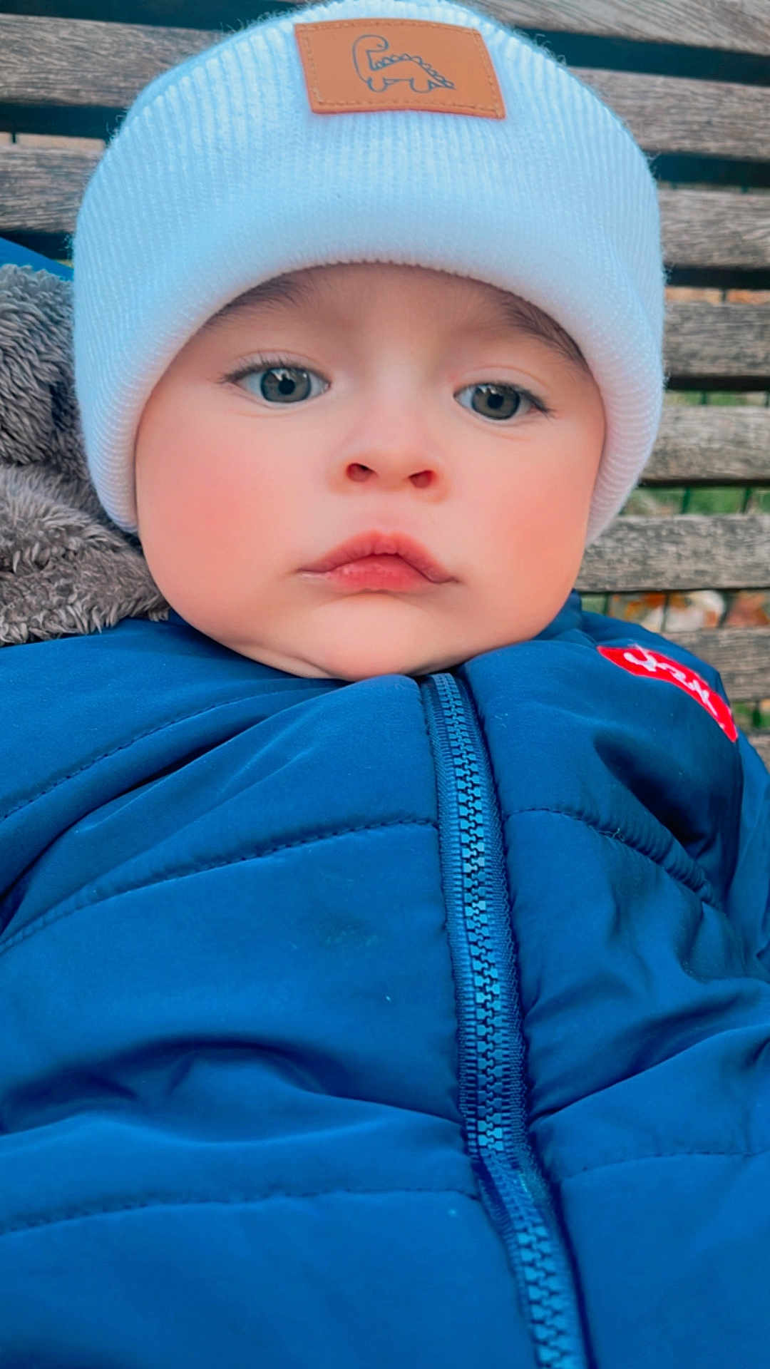 Jerry participe au concours pour gagner de l'argent avec cette photo : baby, child, face, hat, knit_hat, blue_jacket, zipper, bench, wood, outdoor, cute, portrait, winter_clothing, warm, childhood, expression, young, infant, cozy, serious