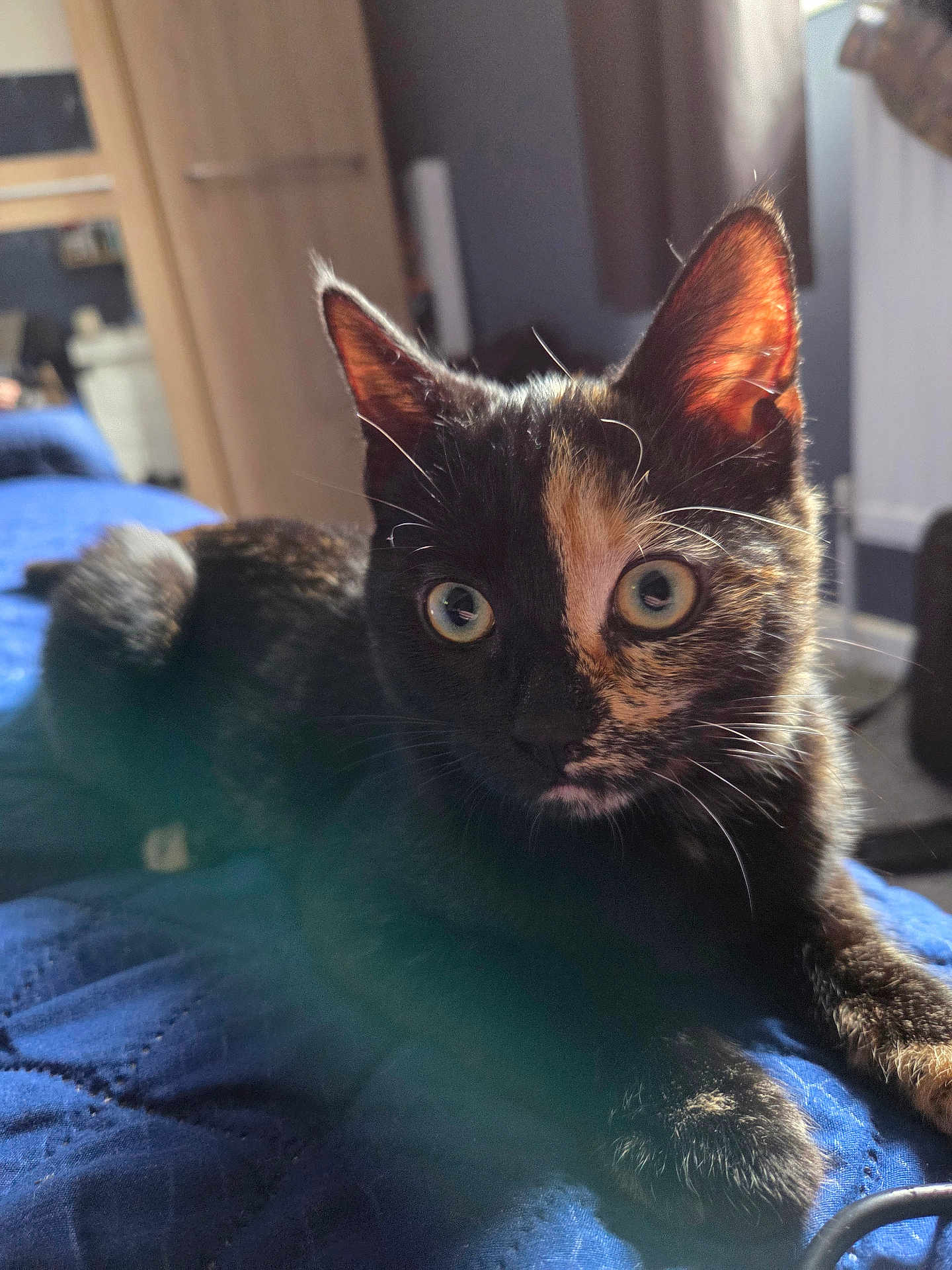 Millie