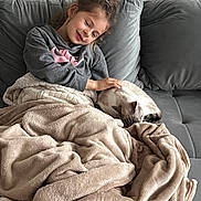 Dinah participe au concours pour gagner de l'argent avec cette photo : blanket, blanket_folded, casual_clothing, cat, child, couch, cozy, gray_couch, hair, hand, hoodie, indoor, living_room, pet, pillow, portrait, relaxed, sleeping_cat, smiling, soft_texture