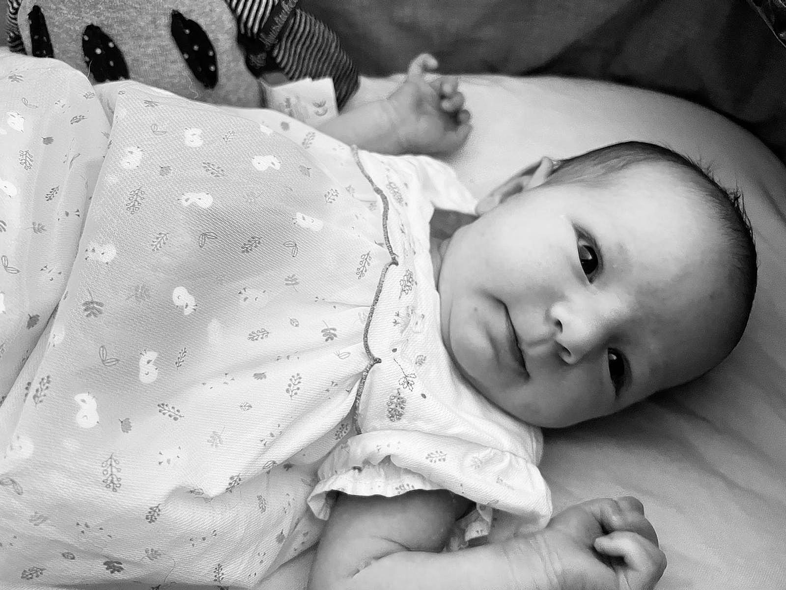 Emmy a rejoint le concours — aidez-le/la à gagner de superbes lots ! arm, black, cheek, comfort, eye, hand, happy, head, human, human_body, lip, nose, organ, person, photograph, product, skin, sleeve, textile, vertebrate