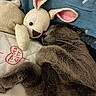 cat, sleeping, plush_toy, bunny, blanket, blue_blanket, cushion, embroidery, heart, gray_cat, fur, whiskers, nap, indoor, cozy, soft_toy, cute, resting, close_up, pet