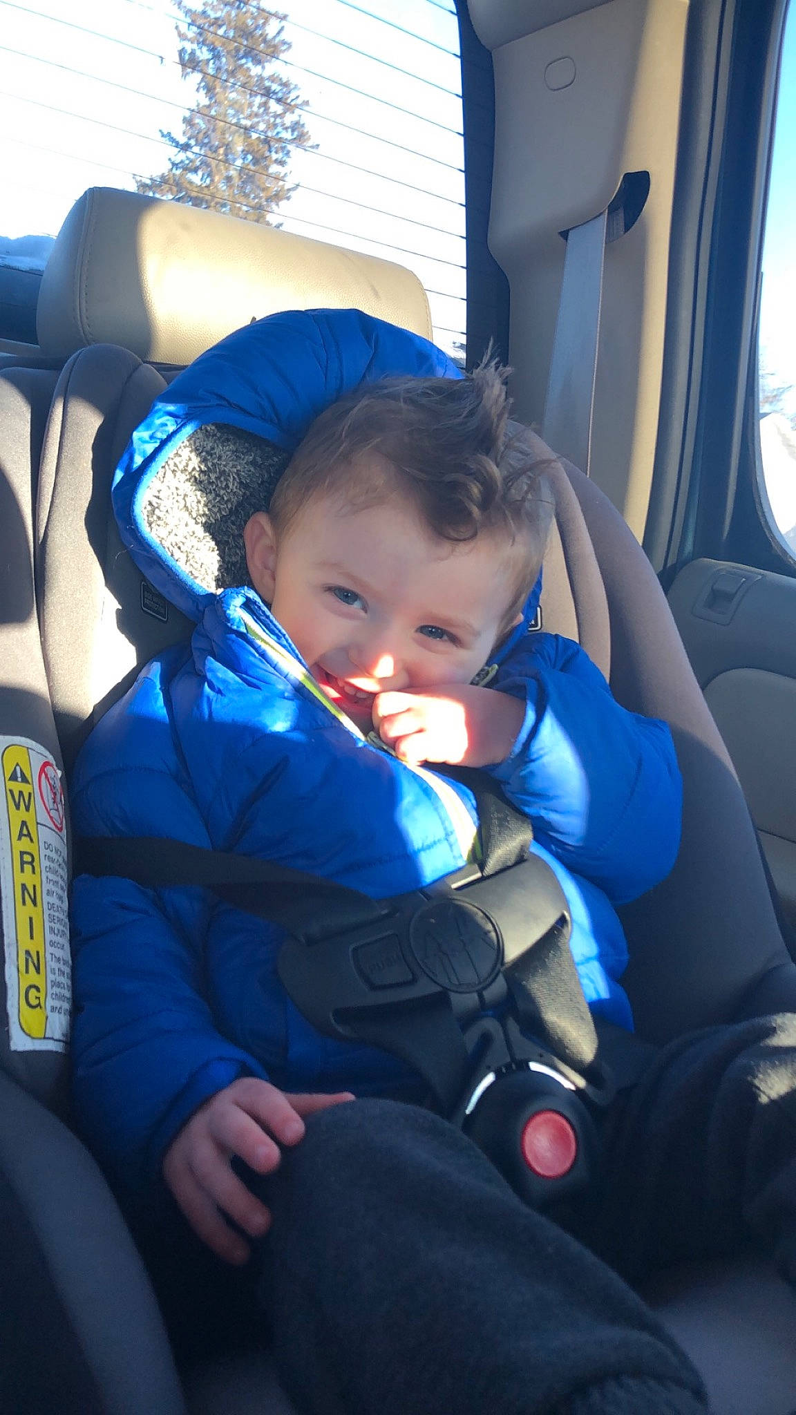 Brighton is registered to the contest to win money with this photo: auto_part, baby, baby_carriage, baby_in_car_seat, baby_products, car, car_seat, child, family_car, head_restraint, passenger, person, seat_belt, toddler, vacation