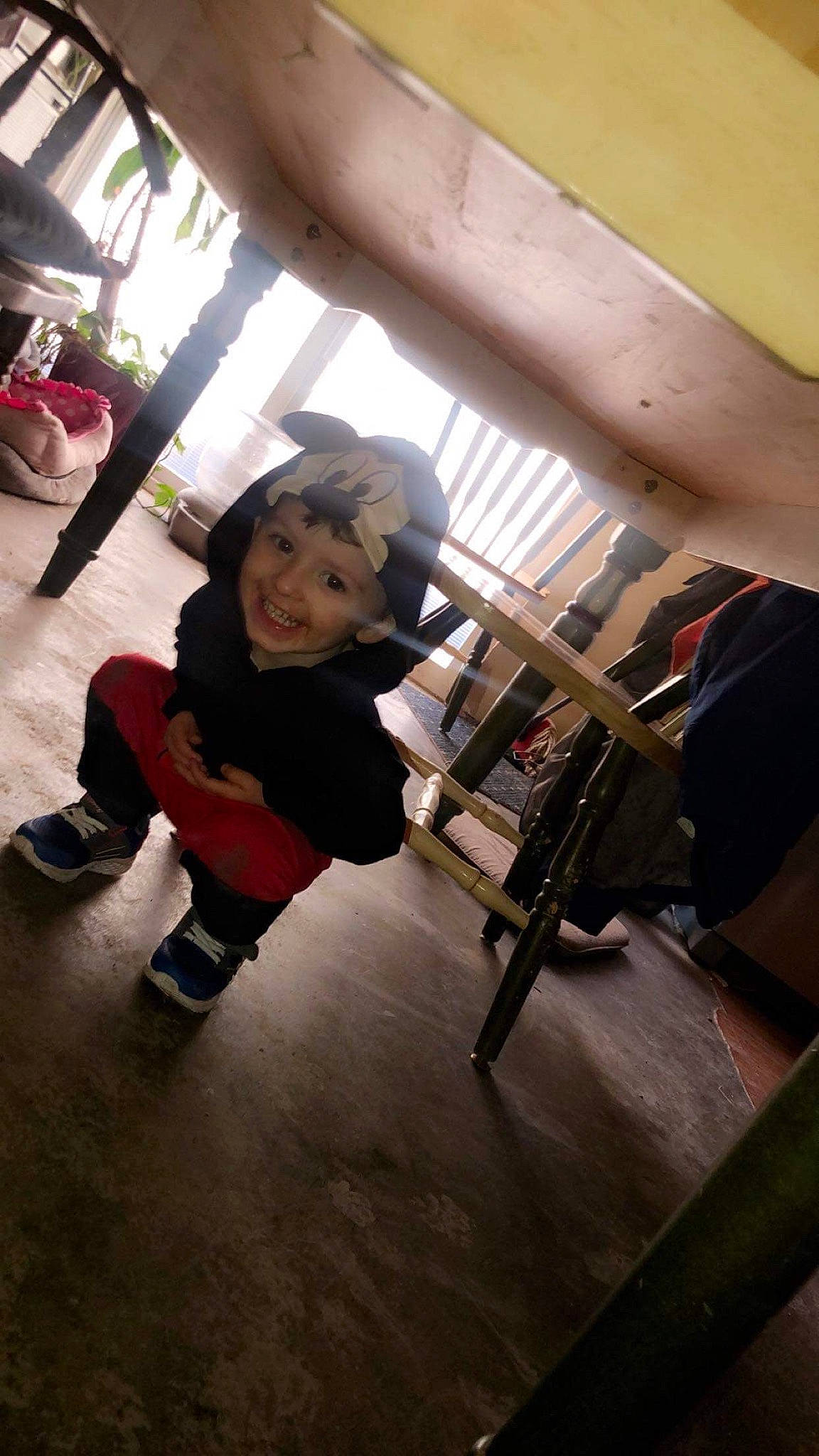 Brighton joined the competition — help win amazing prizes! flooring, joy, leg, person