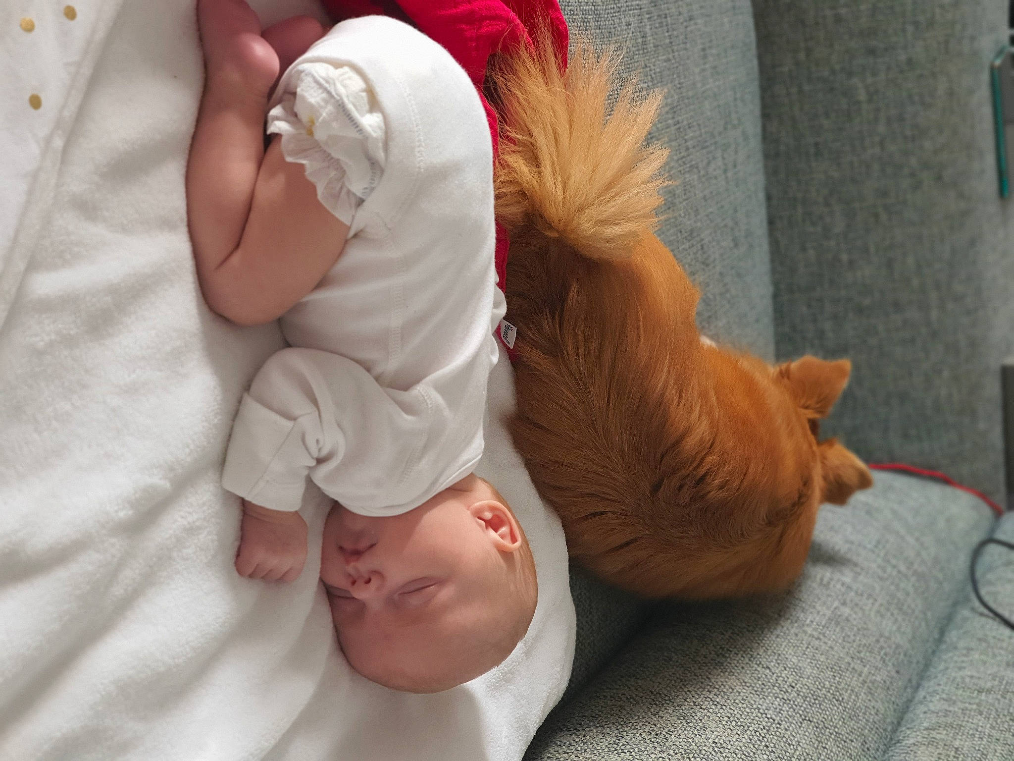 Eva a rejoint le concours — aidez-le/la à gagner de superbes lots ! abdomen, baby, baby_sleeping, baby_toddler_clothing, child, comfort, companion_dog, flooring, foot, fun, fur, gesture, human_leg, linens, nap, person, sitting, stuffed_toy, tail, thumb