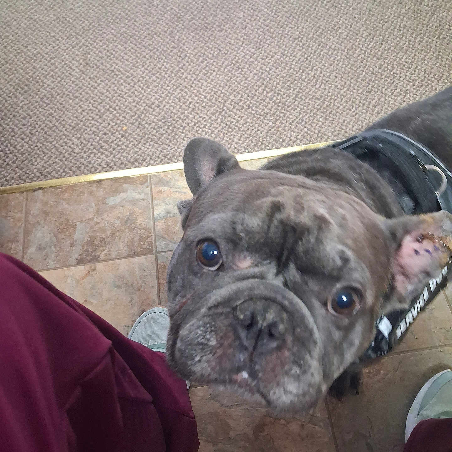 Mika