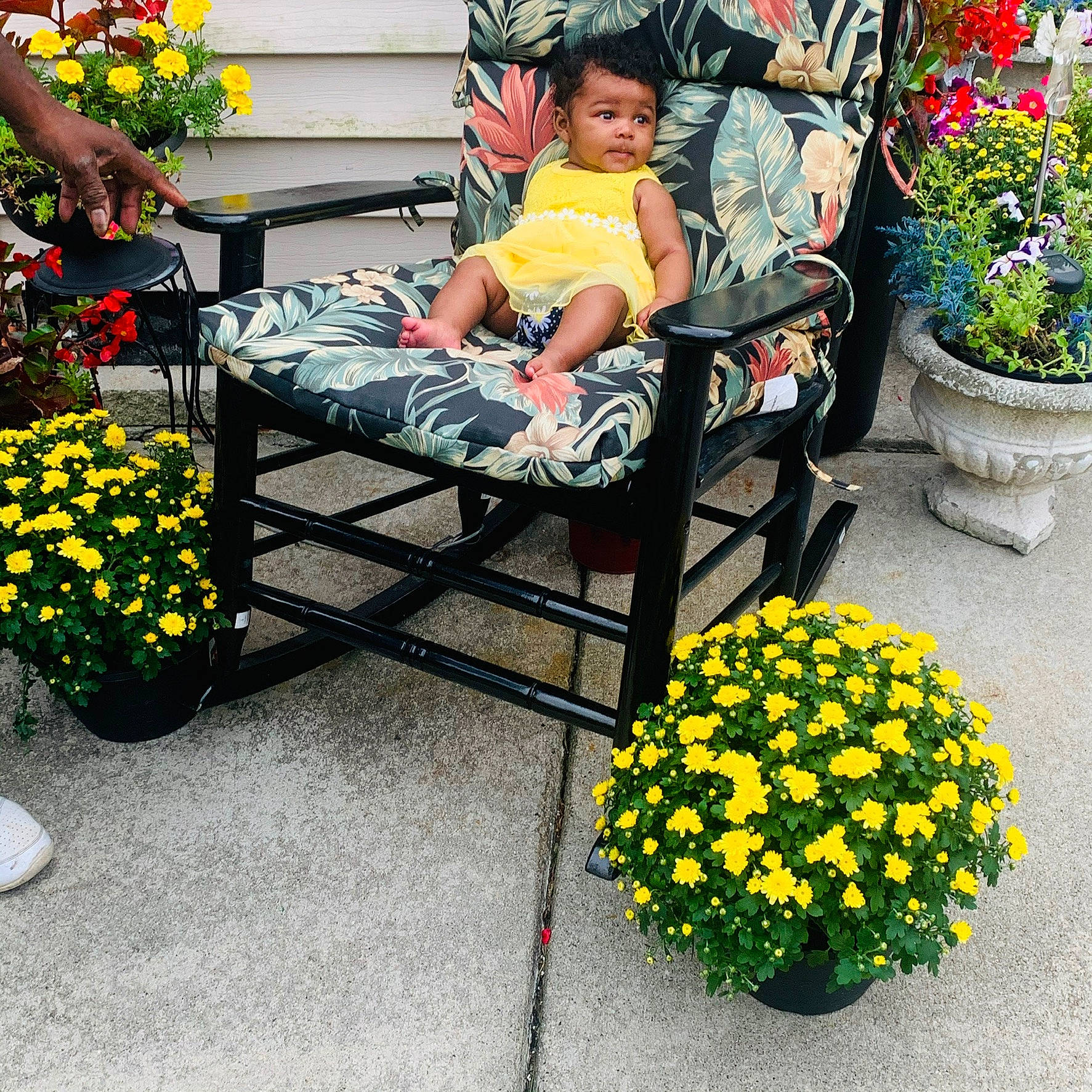 Dariyah joined the competition — help win amazing prizes! annual_plant, botany, flower, flower_arranging, flowerpot, garden, grass, groundcover, hat, houseplant, leaf, outdoor_furniture, person, petal, photograph, plant, shrub, summer, sunglasses, toddler