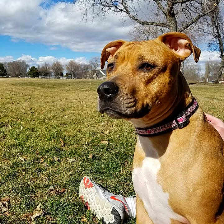 Maddy
