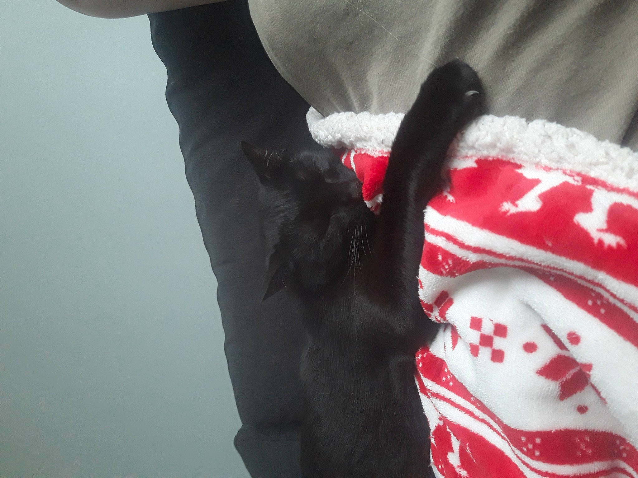 Rita participe au concours pour gagner de l'argent avec cette photo : cap, carmine, fashion_accessory, flag, flag_of_the_united_states, freezing, fur, gesture, glove, grey, human_leg, linens, pattern, sleeve, tartan, tradition, wing, winter