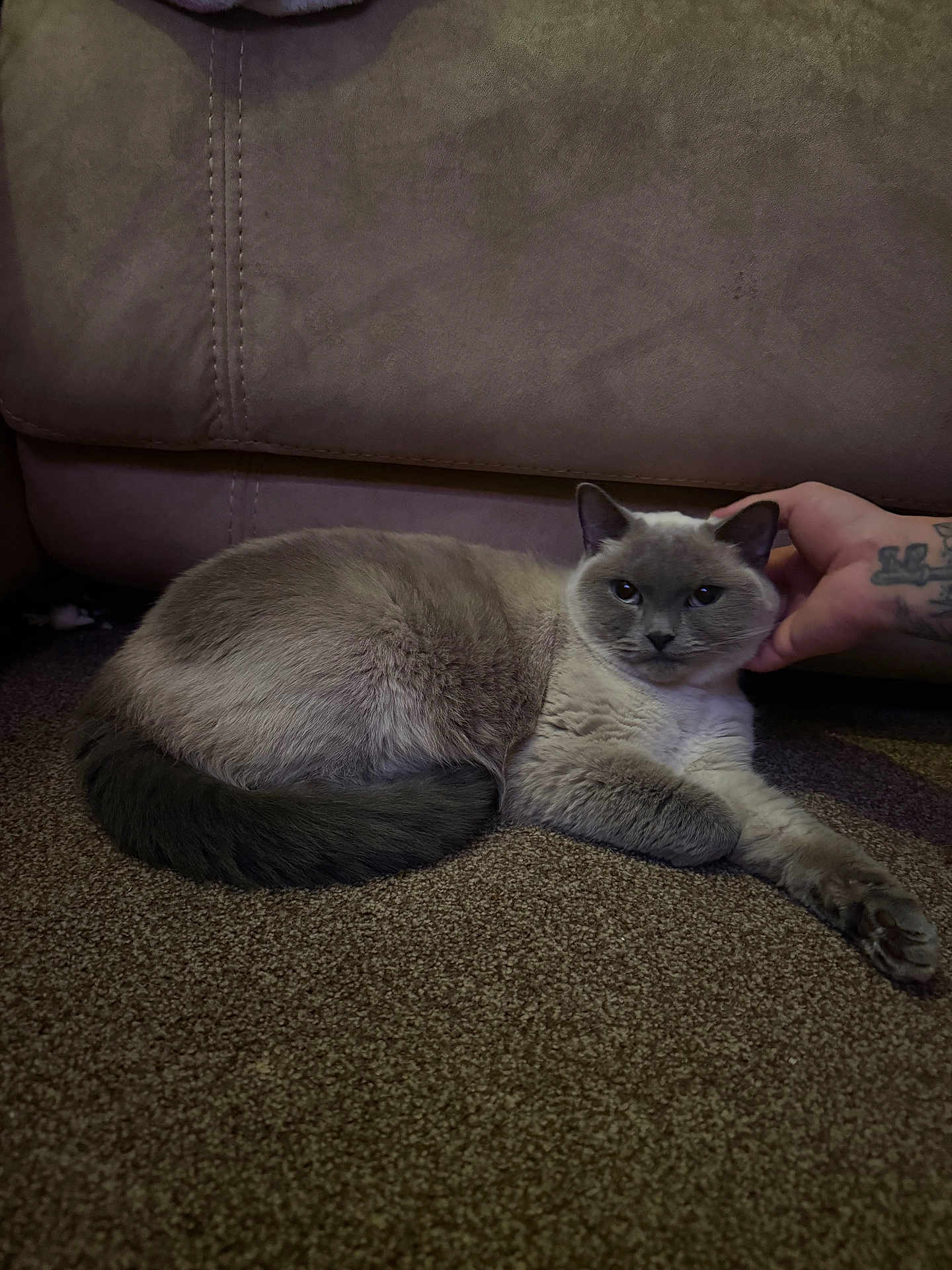 Luna