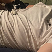 Tito joined the competition — help win amazing prizes! animal, arm, black_and_white, blanket, casual, cat, closeup, comfort, couch, feline, home, indoor, nap, person, pet, relaxing, resting, sleeping, tattoo, white_tshirt