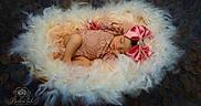 Yarieliz joined the competition — help win amazing prizes! baby, sleeping, infant, portrait, pink_bow, lace_clothing, feathers, fluffy_nest, newborn, child, closed_eyes, lying_down, studio_photography, soft_lighting, feminine, costume, floral_background, petals, photography, peaceful