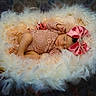 baby, sleeping, infant, portrait, pink_bow, lace_clothing, feathers, fluffy_nest, newborn, child, closed_eyes, lying_down, studio_photography, soft_lighting, feminine, costume, floral_background, petals, photography, peaceful
