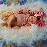 baby, sleeping, portrait, infant, child, pink_bow, lace_dress, feathers, fluffy_nest, floral_background, studio_photography, fantasy, closeup, peaceful, adorable, headband, fashion, colorful, indoors, photography