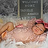newborn, baby, infant, sleeping, portrait, pink, lace, dress, hair_bow, feathers, fluffy, nest, home_photography, studio, photography, welcome_sign, indoors, lying_down, peaceful, adorable