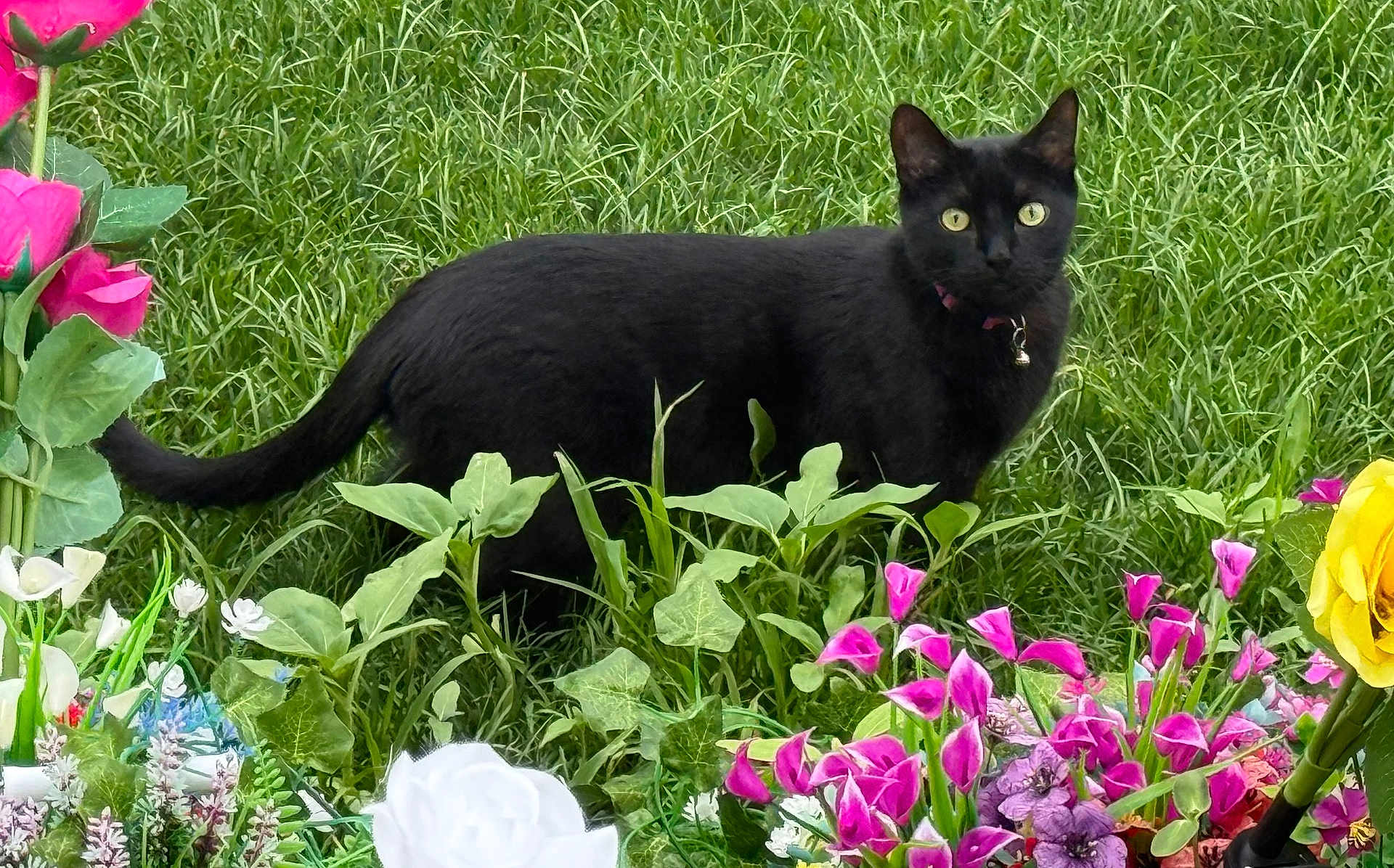 Vader