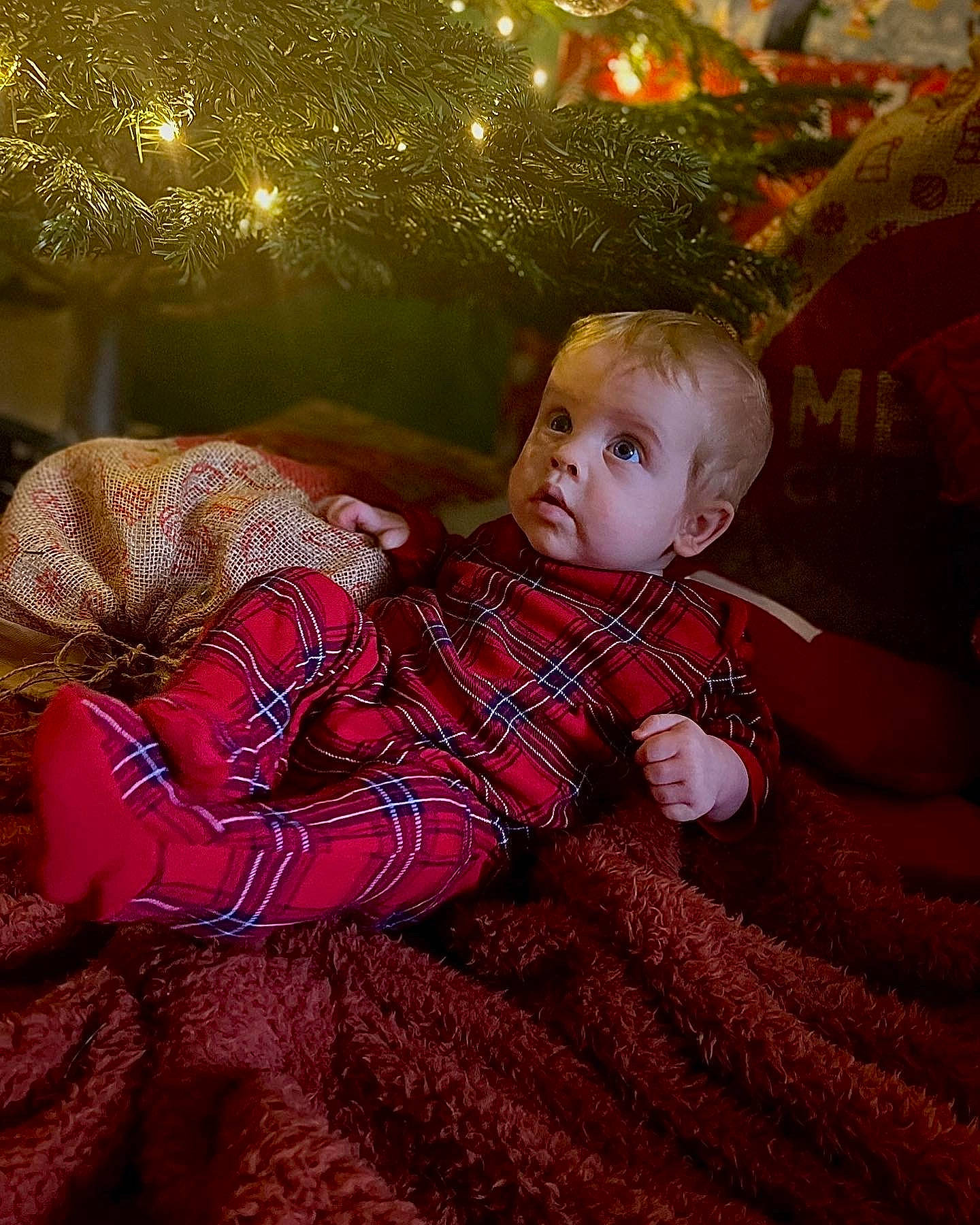 Henry is registered to the contest to win money with this photo: baby, baby_toddler_clothing, beauty, christmas_ornament, comfort, facial_expression, grass, happy, lap, mammal, ornament, pattern, people, people_in_nature, person, sleeve, surprise, textile, toddler, tree