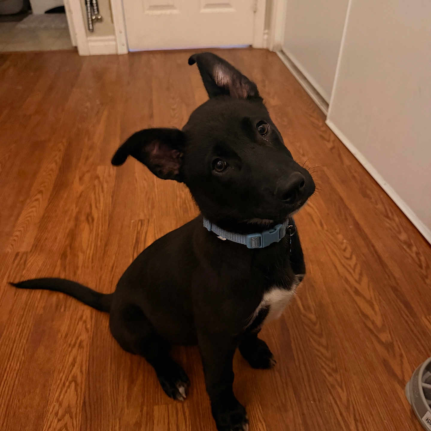 Onyx