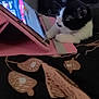 Khloe is registered to the contest to win money with this photo: cat, black_and_white, tablet, pink_case, bed, blanket, indoor, curious, pet, feline, watching, technology, cozy, close_up, resting, domestic_animal, animal, screen, device, relaxed