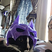 Monkey joined the competition — help win amazing prizes! cat, mask, purple, black_and_white, indoor, curtains, window, person, glasses, light, furniture, couch, whiskers, face_mask, costume, relaxing, pet, closeup, home, funny