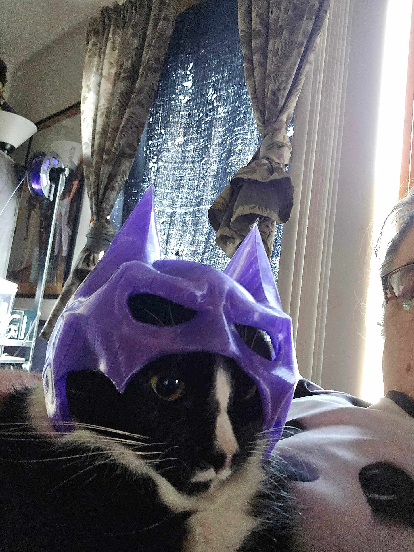 Monkey joined the competition — help win amazing prizes! cat, mask, purple, black_and_white, indoor, curtains, window, person, glasses, light, furniture, couch, whiskers, face_mask, costume, relaxing, pet, closeup, home, funny