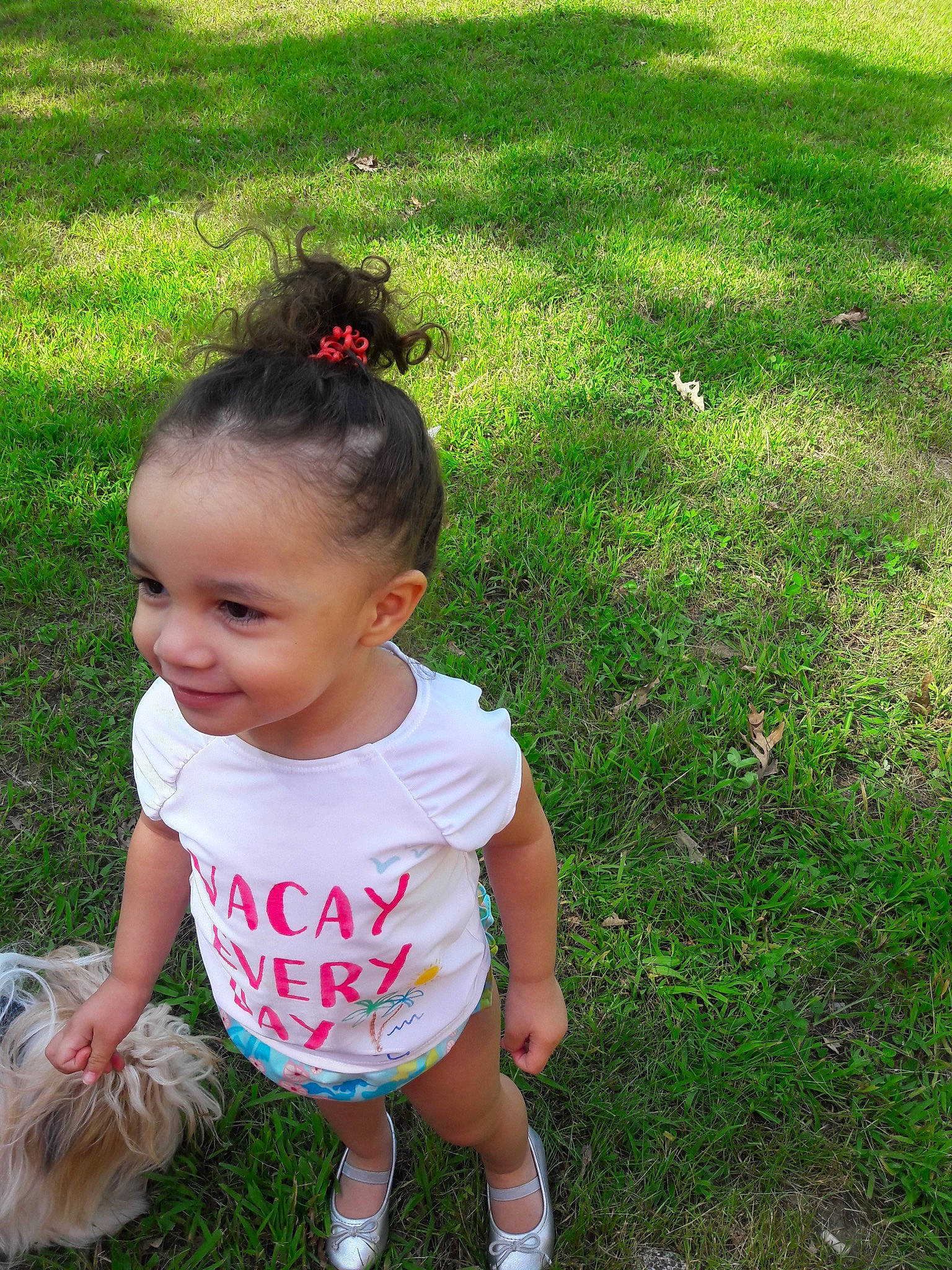 Yuna is registered to the contest to win money with this photo: baby, child, dress, fawn, grass, hairstyle, joy, lawn, meadow, person, pink, plant, play, skin, summer, toddler, vacation