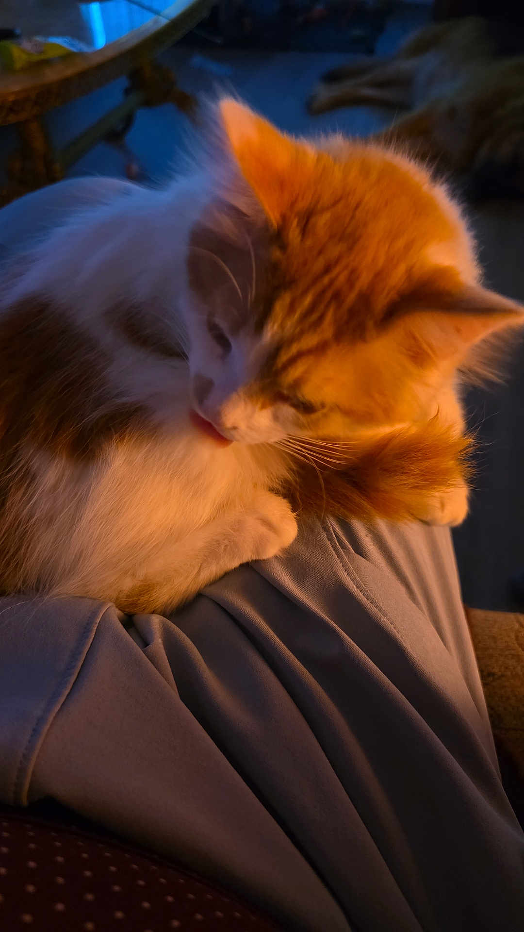 Samson