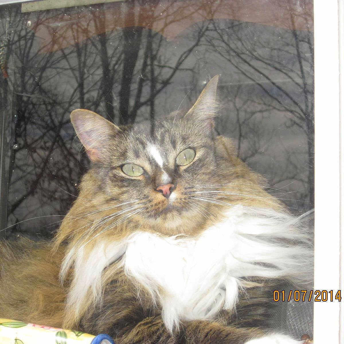 Bella