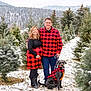 boots, cold_weather, couple, dog, evergreen_trees, family, glasses, grass, happy, leash, matching_clothing, nature, outdoor, portrait, pregnant_woman, red_black_checkered, smiling, snow, tree_farm, winter